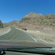 Baja2011 888 : Baja2011